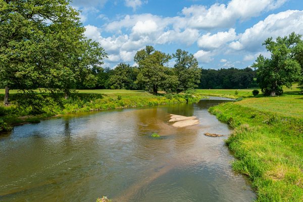 Prendre du muscle rapidement : les clés d'un succès durable