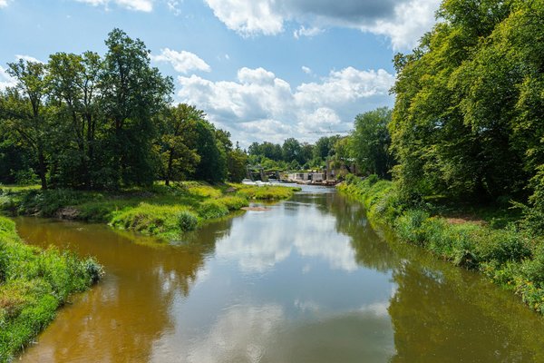 Recettes gourmandes et sans sucre pour maigrir sainement